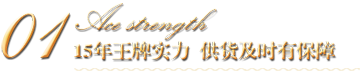 15年王牌实力